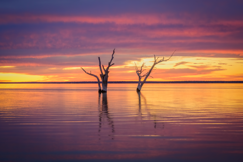Lake Bonney Purple Sunset - Barmera South Australia