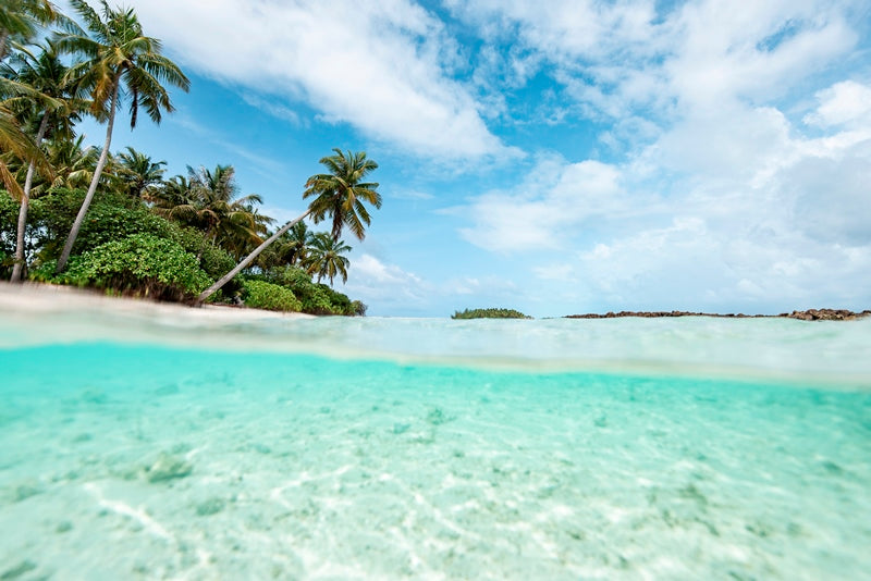 Lost in Paradise
