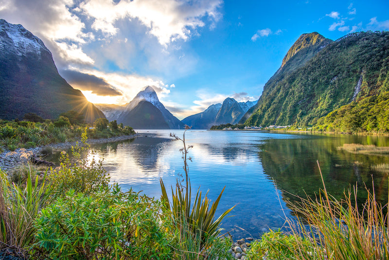 MILFORD SOUND AFTER THE RAIN