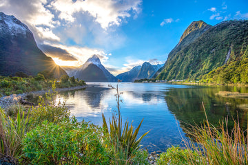 MILFORD SOUND AFTER THE RAIN