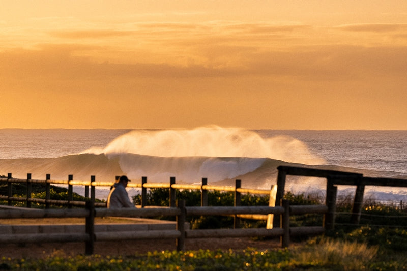 MONA VALE BEACH | SUNRISE SWELL