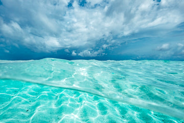 Maldives swim 9