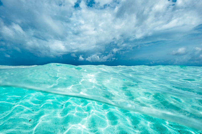 Maldives swim 9