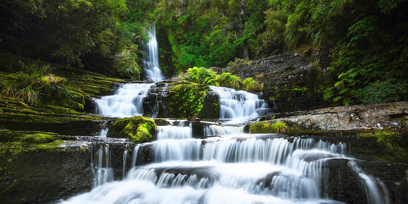 Mcleans Falls, Caitlins