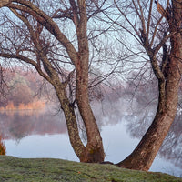 Meander River, Tasmania. - 1