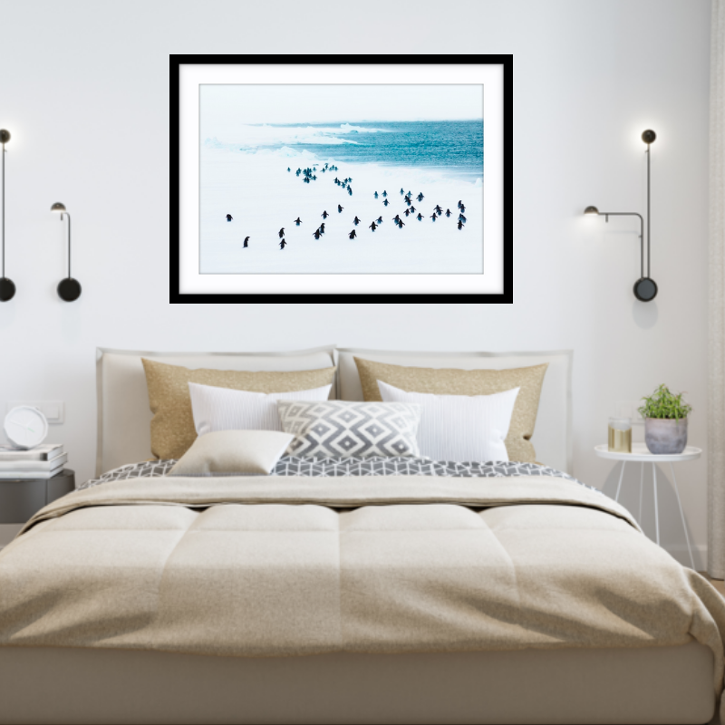 Penguins in a storm, Antarctica - 2
