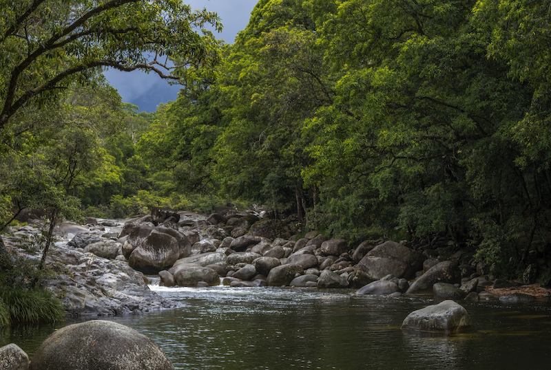 Mossman Gorge - Far North Queensland