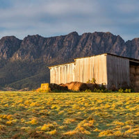 Mt. Roland, Tasmania - 1