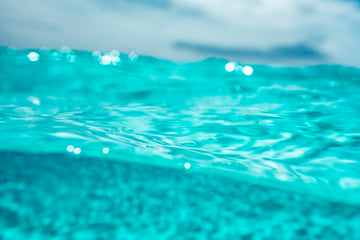 Ocean dreams