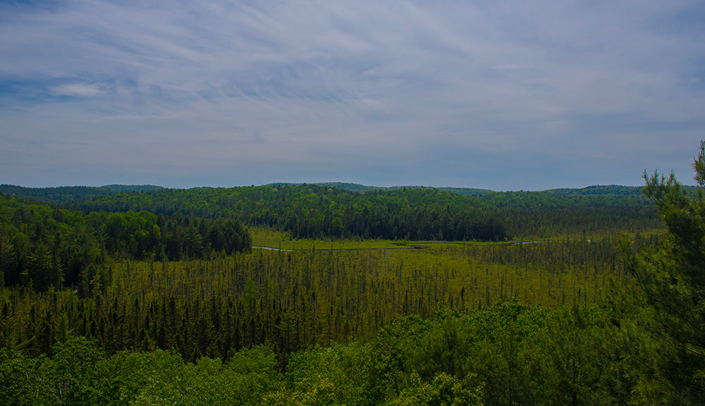 Overlook at Algonquin