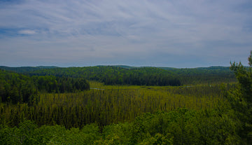 Overlook at Algonquin
