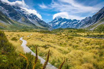 PATHWAY TO MT COOK