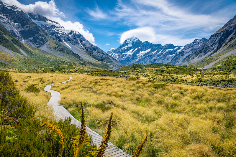 PATHWAY TO MT COOK