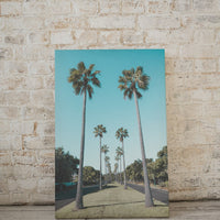 Palm Tree Estate