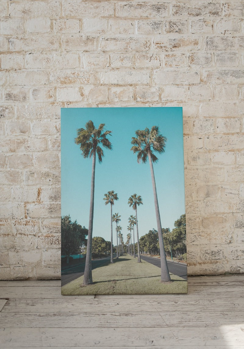 Palm Tree Estate