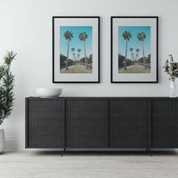 Palm Tree Estate