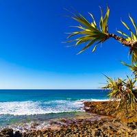 Pandanas Beach