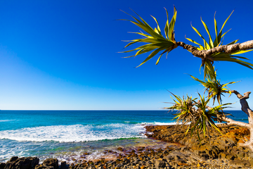 Pandanas Beach
