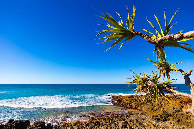 Pandanas Beach