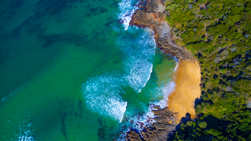 Point Arkwright Beach