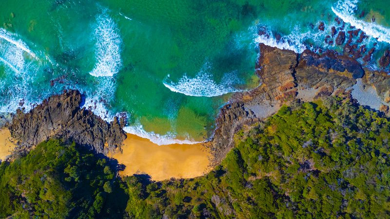 Point Arkwright Single Beach