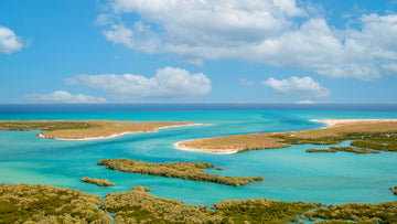 Port Smith Lagoon, Landscape