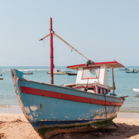 Praia do Forte - Bahia Brazil