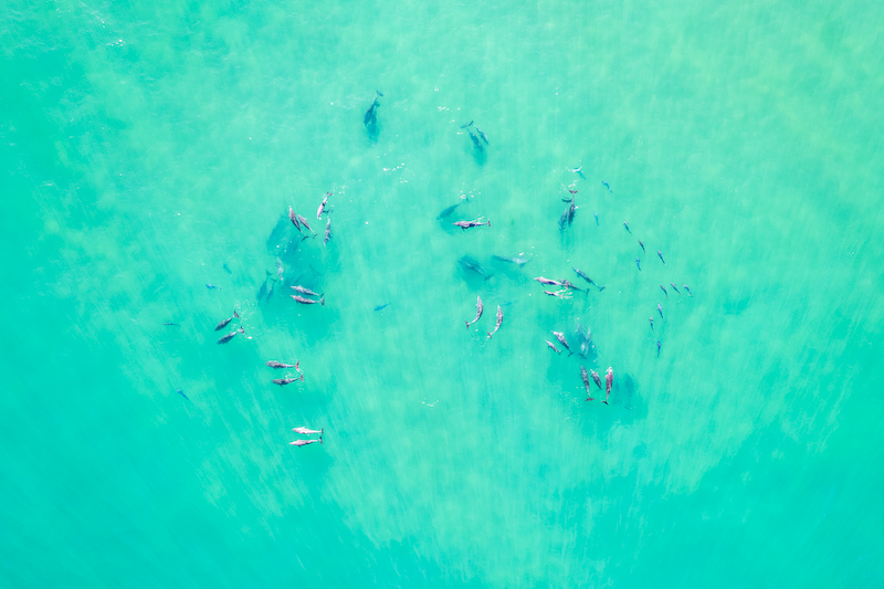 Purpose - Sandy Beach NSW