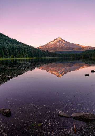 Reflections At The Lake