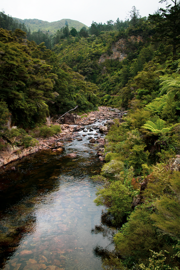 River Forest