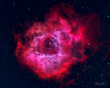 Rosette Nebula