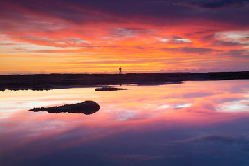 Solitaire photographer