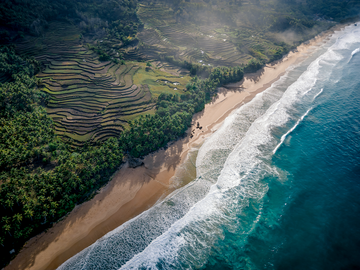 Sumba Rice Terraces - Landscape