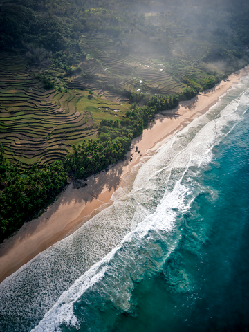 Sumba Rice Terraces - Portrait