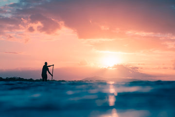 Sunset SUP 1