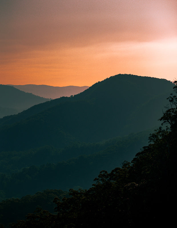 Sunset spectacle in the wilds
