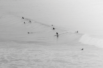 Surf Vibes