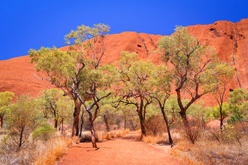 THE HEART OF AUSTRALIA