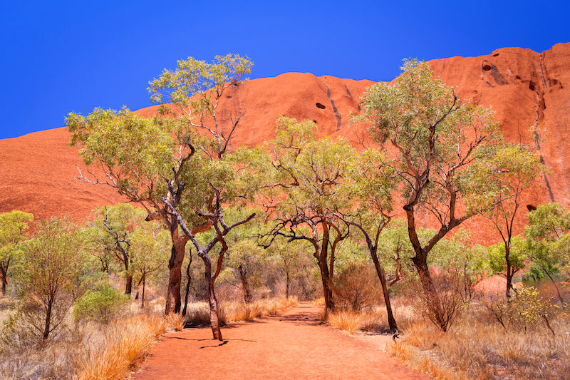 THE HEART OF AUSTRALIA