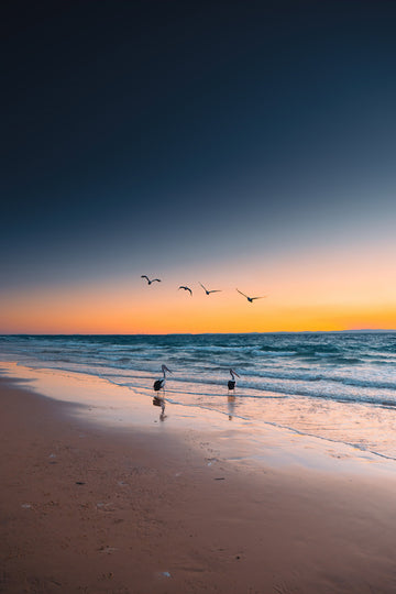 Tangalooma Sunset