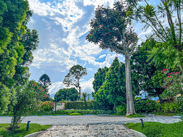 The Green Side of Antigua
