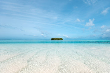 The Island