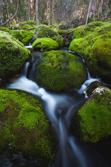 Tiers Of Joy | Blue Tiers, Tasmania