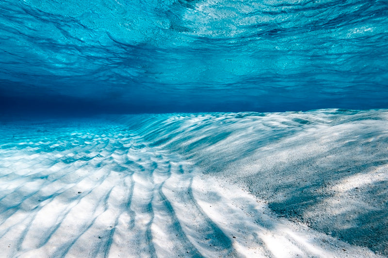Translucent