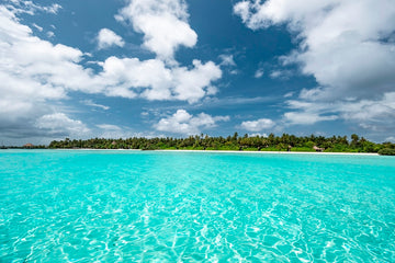 Tropical Summer