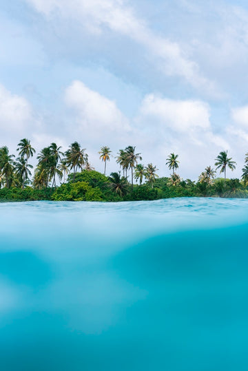 Tropical views