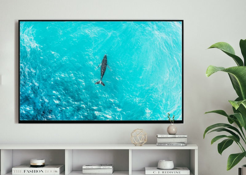 Whale of a Time