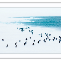 Penguins in a storm, Antarctica - 4