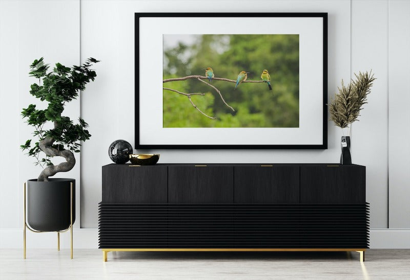 Rainbow Bee-eaters on a Branch