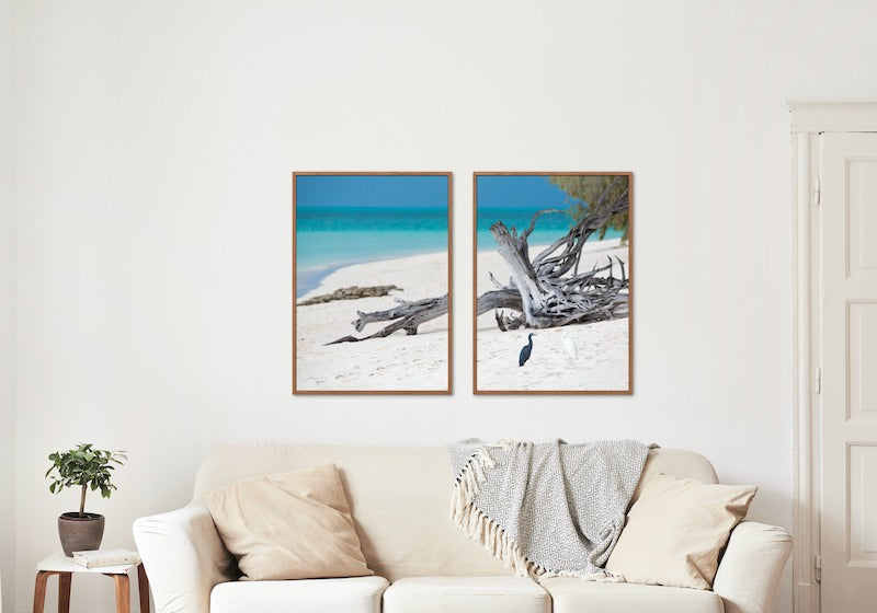 HERON ISLAND HERONS